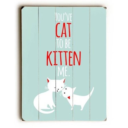 ONE BELLA CASA One Bella Casa 0004-6672-25 9 x 12 in. You Have Cat to be Kitten Me Solid Wood Wall Decor by Ginger Oliphant 0004-6672-25
